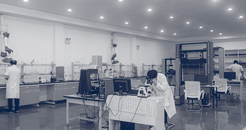 R&D Center Establishment