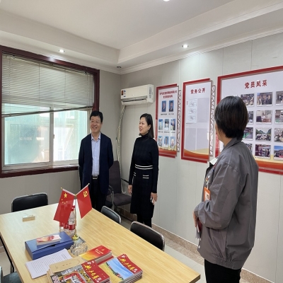 市委组织部考察红星党建等活动